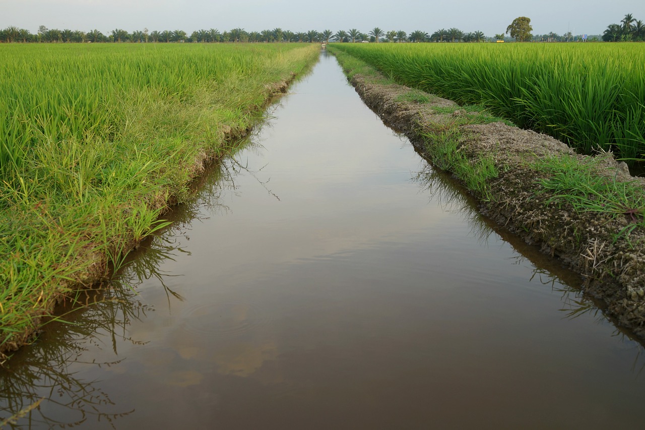 What Is An Irrigation Ditch Twl Irrigation