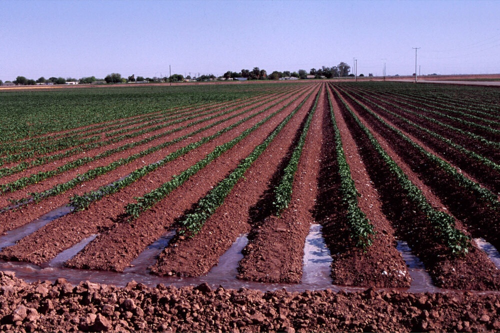 What Is Furrow Irrigation Definition Explanation Systems 