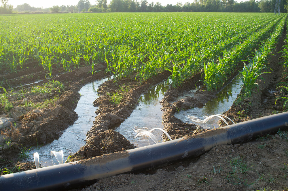 What is Flood Irrigation? TWL Irrigation